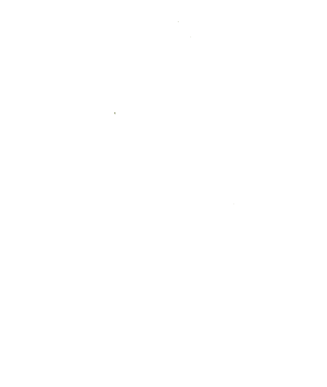 Frantoio Cesare Battisti