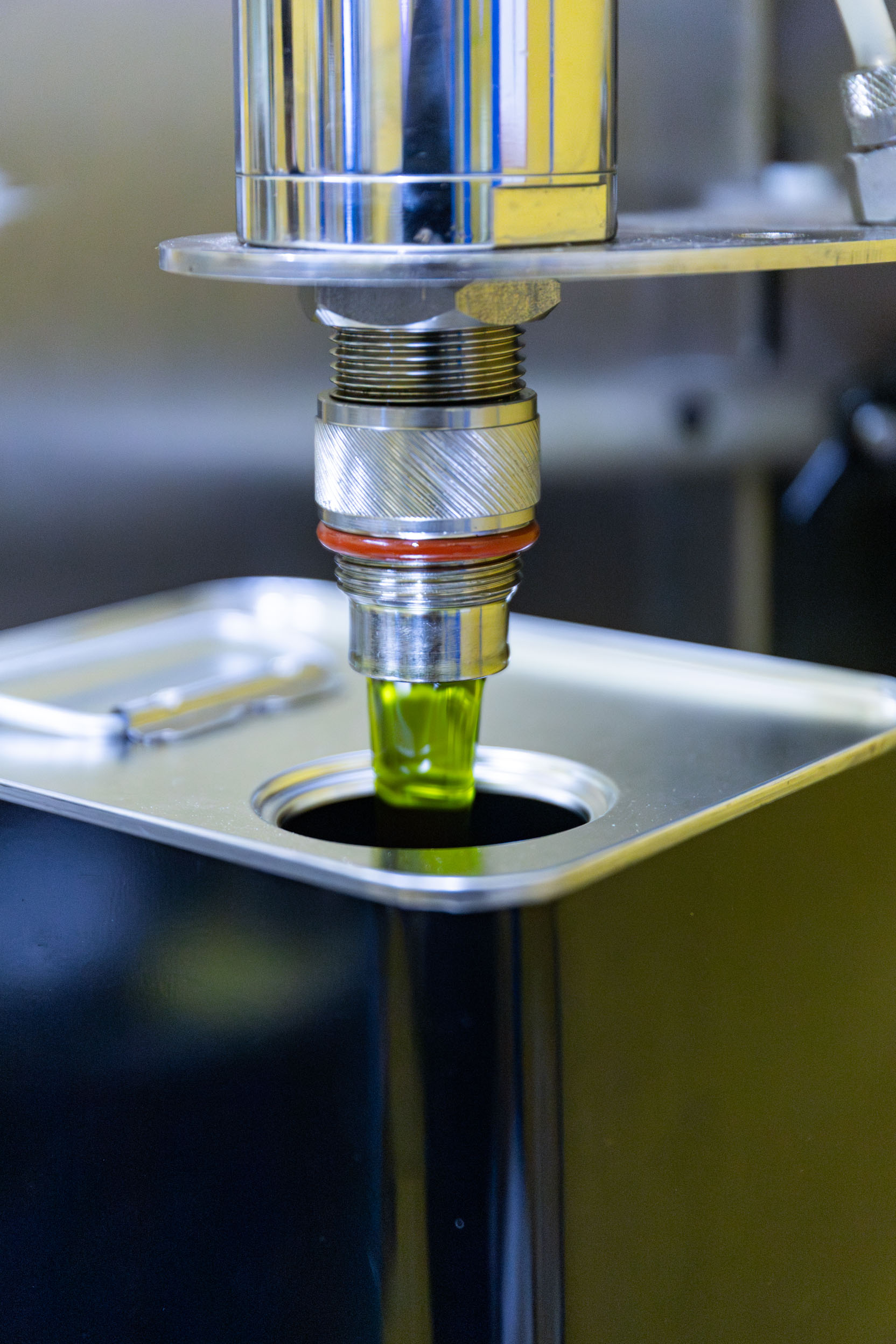 Cos’è l’olio DOP Tuscia e perché riconoscerlo fa la differenza